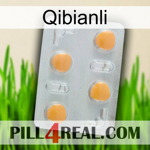 Qibianli 24